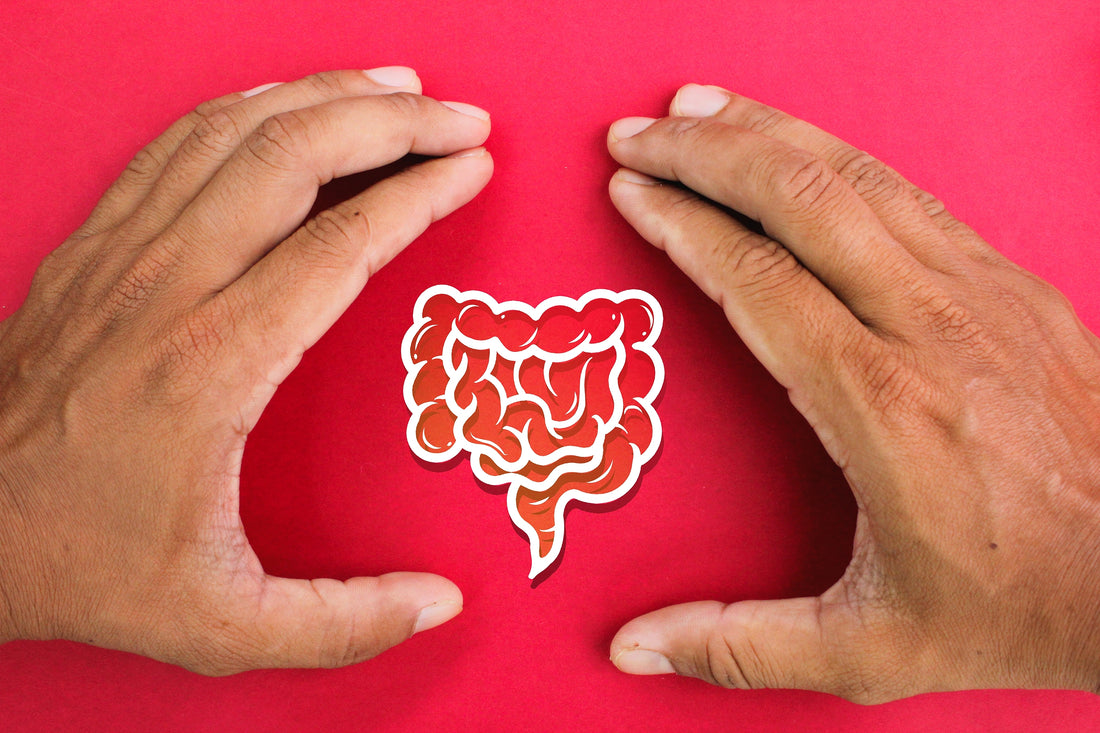The Gut Feeling: Why Vital Restore Might Be Your Key to Wellness