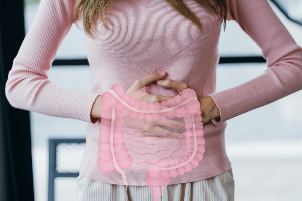 Belly Happy, Life Happy: A Guide to Natural Gut Health Solutions