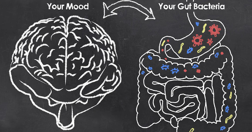 The Gut-Brain Connection - Is It Possible to Achieve Higher Brain Function By Treating Your Gut?