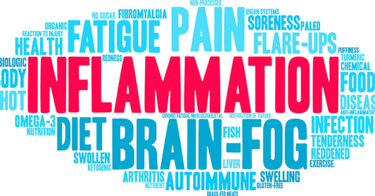 How Can Your Gut Help You Avoid Chronic Diseases? Understanding Diet Induced Inflammation