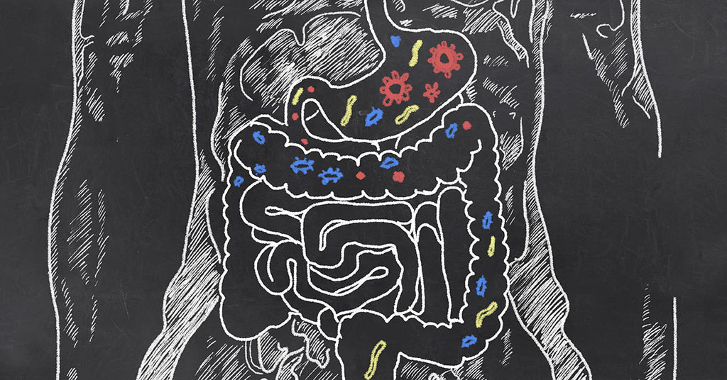 How Fast Can You Heal Leaky Gut Syndrome?