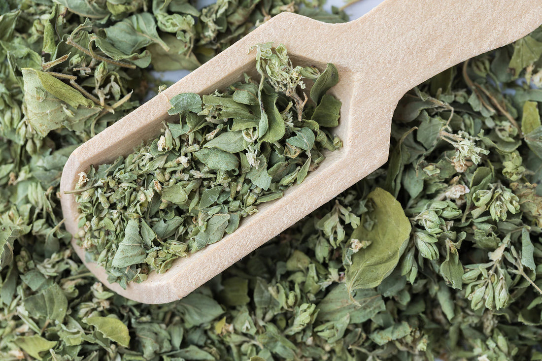 Marjoram: The Herb of Happiness