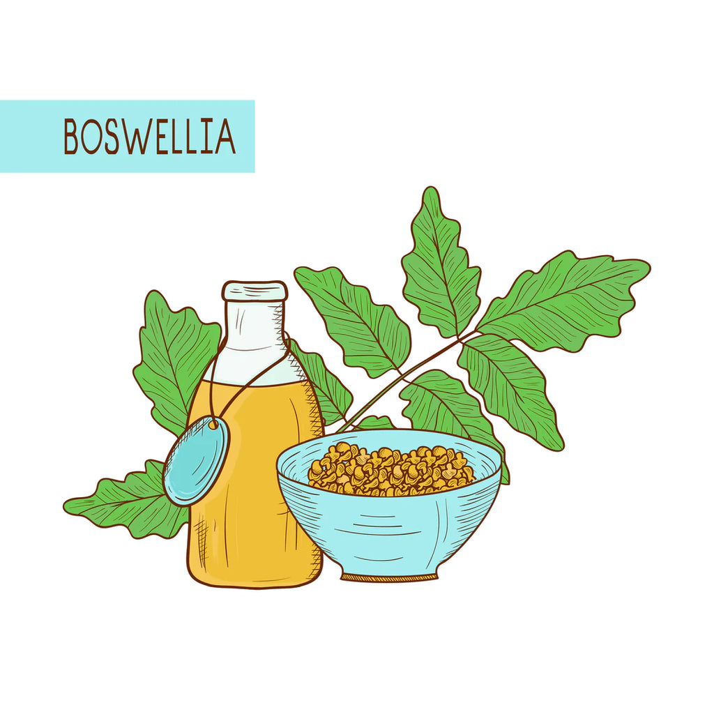 Boswellia Serrata: Get to Know This Herbal Extract