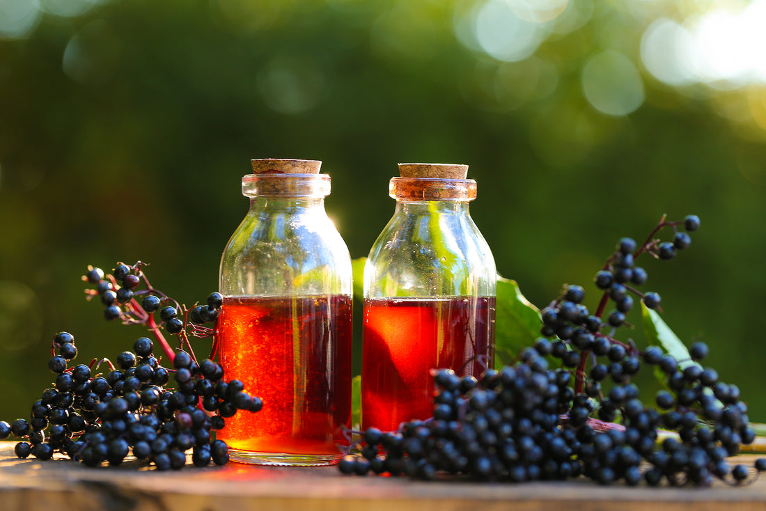 Elderberries: Get to Know These Micro-Powerhouses