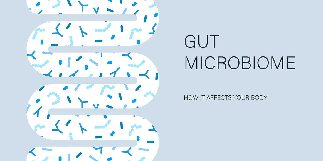 The Link Behind Gut Microbiome and Your Health