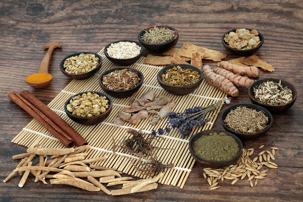 What Are Adaptogens and How Can They Improve Your Health?