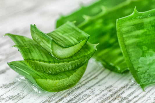 10 Amazing Uses for Aloe Vera