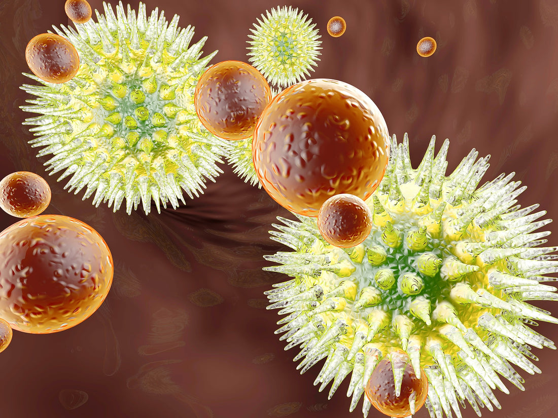 Your Immune System: A Deep Dive on Ways to Optimize Your Protectors