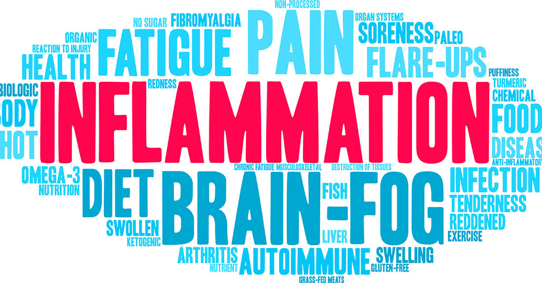 How Can Your Gut Help You Avoid Chronic Diseases? Understanding Diet Induced Inflammation